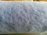 Gambar ISI / REFILL KUAS ROLL CAT ACE BESAR / BUSA BULU dari worthtoshop Kota Bogor 5 Tokopedia