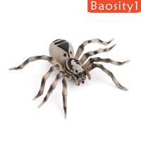 Gambar 1 Set Spider Life Cycle Stages Classroom Teaing Accessories dari MOROORENE Kota Administrasi Jakarta Pusat 5 Tokopedia