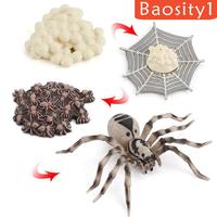 Gambar 1 Set Spider Life Cycle Stages Classroom Teaing Accessories dari MOROORENE Kota Administrasi Jakarta Pusat 1 Tokopedia