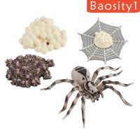 Gambar 1 Set Spider Life Cycle Stages Classroom Teaing Accessories dari MOROORENE Kota Administrasi Jakarta Pusat 3 Tokopedia
