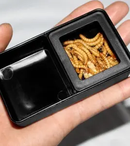 Reptile Combo Dish Tempat MInum - Makan Ulat Hongkong Segi 4 10.5x6cm