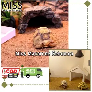 Karpet Reptil Liner Sabut Kelapa Alami Tikar Kandang Reptil 30x60cm