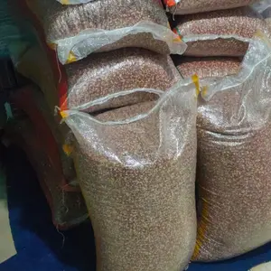 jagung manggis karungan 25 kg bersih kering berkualitas khusus burung