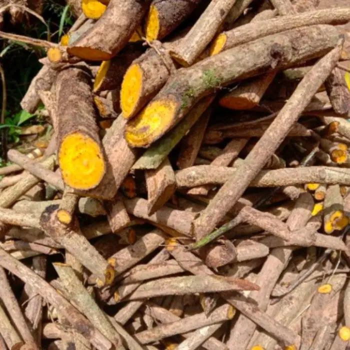 AKAR KAYU KUNING /AKAR KI KONENG ASLI OBAT HERBAL 250gram