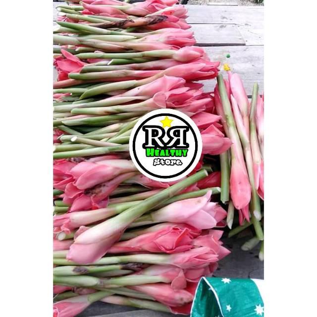 Jual TERBARU Bunga kecombrang/honje segar Termurah dan Terlaris - Kab ...