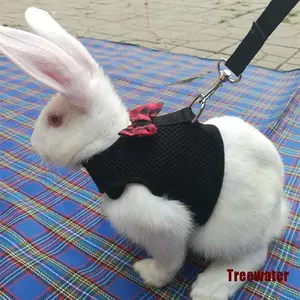 Trter Pet Mesh Soft Harness With Leash for Hamster Rabbit Bunny Small