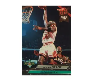 Horace Grant Bulls Ultra