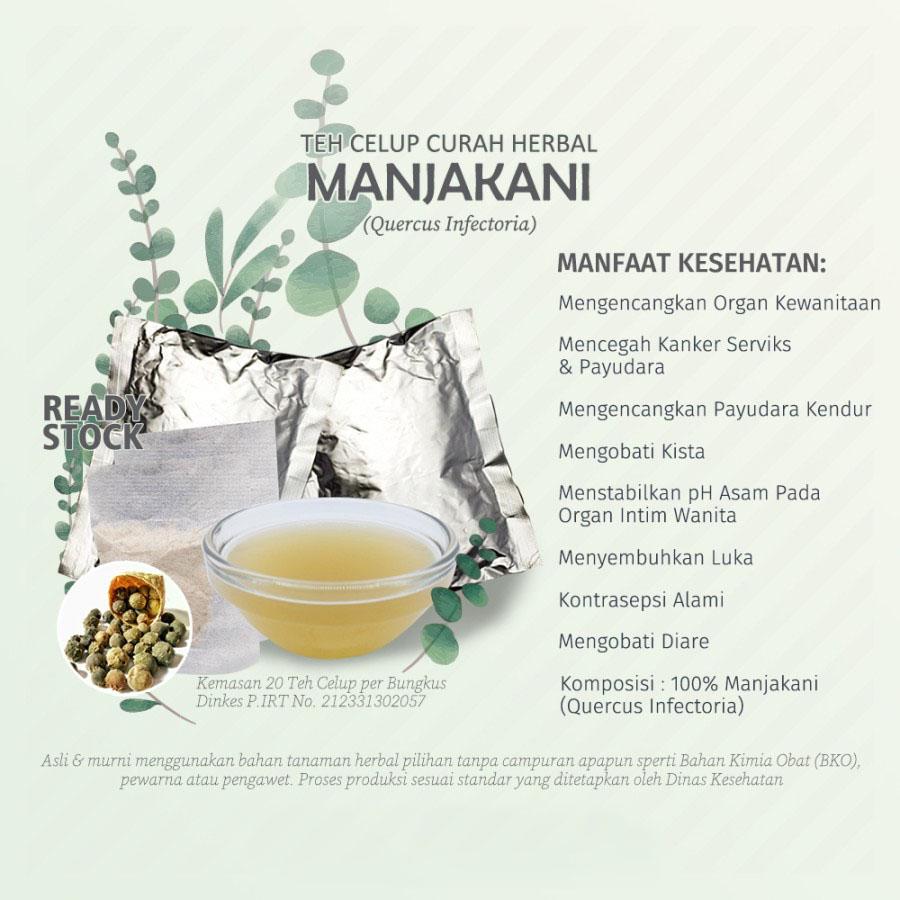 Teh Celup Herbal MANJAKANI OAK GALL Quercus Infectoria Kista Kewanitan