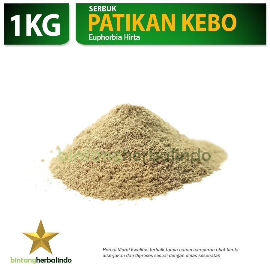 Serbuk Herbal PATIKAN KEBO Libido Thypus DBD Kesuburan Pria Bisul 1Kg