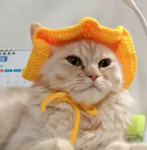 Topi Rajut Kucing Polos - Topi Hewan Peliharaan