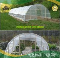 Gambar Plastik UV lebar 5M uv14% greenhouse Hidroponik dari PUROTANI.ID Kab. Purworejo 3 Tokopedia