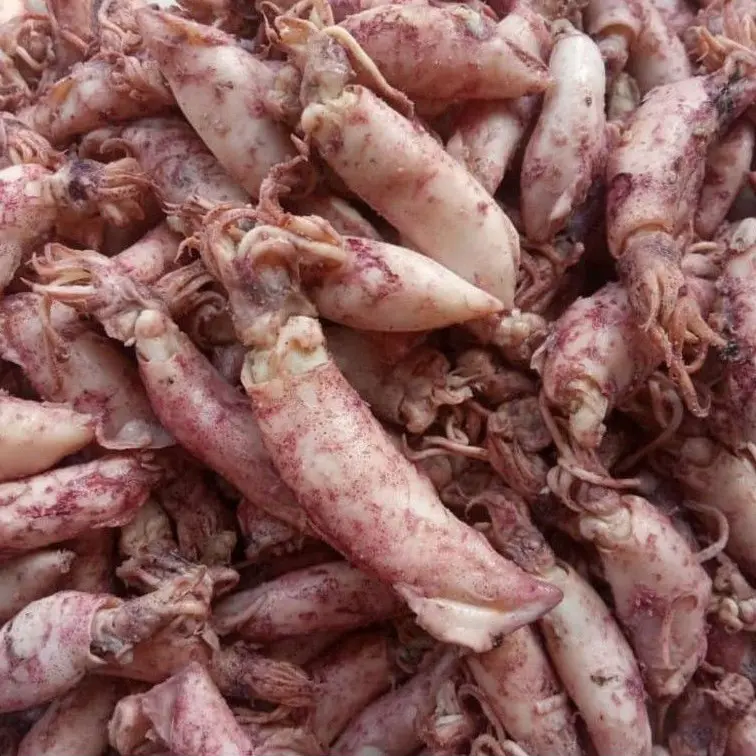 Cumi asin telor rebus asli cumi segar oleh oleh pangandaran