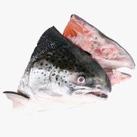 Gambar Frozen Premium Head Salmon (Kepala Ikan Salmon) 1kg Norway dari Nourish Indonesia Jakarta Utara Kota Administrasi Jakarta Utara 3 Tokopedia