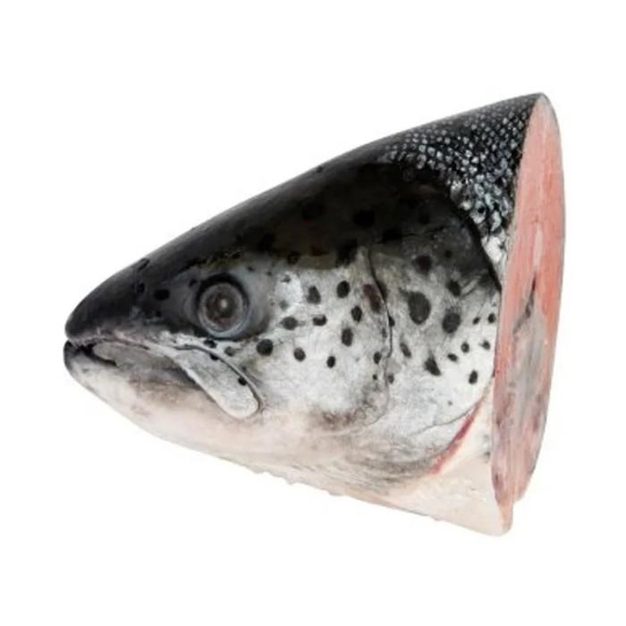 Gambar Frozen Premium Head Salmon (Kepala Ikan Salmon) 1kg Norway dari Nourish Indonesia Jakarta Utara Kota Administrasi Jakarta Utara Tokopedia