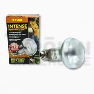 EXO TERRA Lampu UVA Intense Basking Spot Lamp 75W reptile