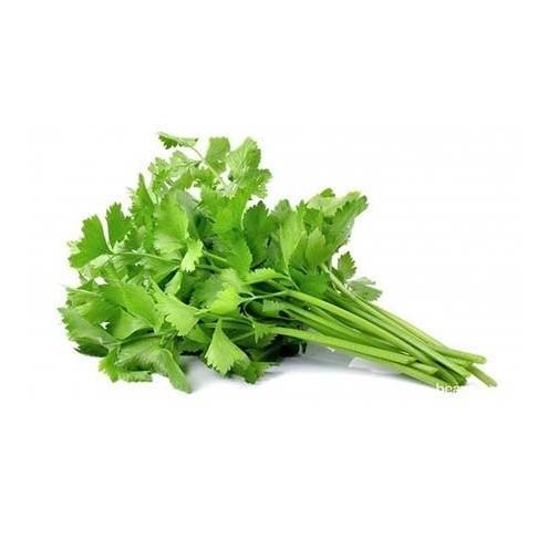 Gambar daun ketumbar / wansui/ cilantro organik 100gr dari Nourish Indonesia Jakarta Utara Kota Administrasi Jakarta Utara Tokopedia