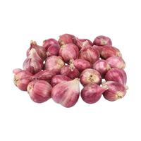 Gambar Bawang Merah Natural 500gr dari Nourish Indonesia Jakarta Utara Kota Administrasi Jakarta Utara 2 Tokopedia