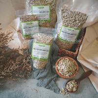 Gambar Roasted Sunflower Seed / Biji Matahari Panggang dari Nourish Indonesia Jakarta Utara Kota Administrasi Jakarta Utara 3 Tokopedia