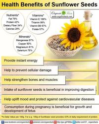 Gambar Raw Sunflower Seed ( Biji Bunga Matahari Mentah ) 100gr dari Nourish Indonesia Jakarta Utara Kota Administrasi Jakarta Utara 2 Tokopedia