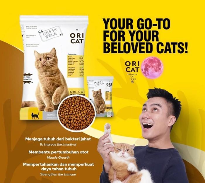 Gambar MAKANAN KUCING ORI CAT FOOD PREMIUM ORICAT 1 KG - 800GR IKAN dari Petshop Surga Animal Kota Tangerang Selatan Tokopedia