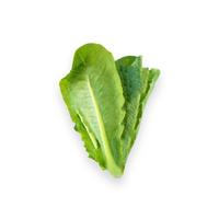 Gambar selada romaine / romaine lettuce organik 200gr dari Nourish Indonesia Jakarta Utara Kota Administrasi Jakarta Utara 1 Tokopedia