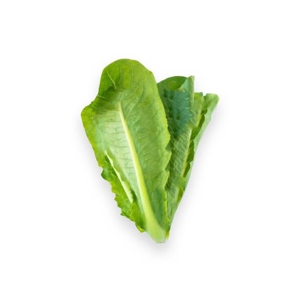 Gambar selada romaine / romaine lettuce organik 200gr dari Nourish Indonesia Jakarta Utara Kota Administrasi Jakarta Utara Tokopedia