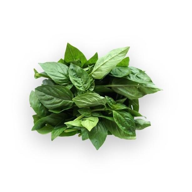 Gambar Daun Basil Organik 100gr dari Nourish Indonesia Jakarta Utara Kota Administrasi Jakarta Utara Tokopedia