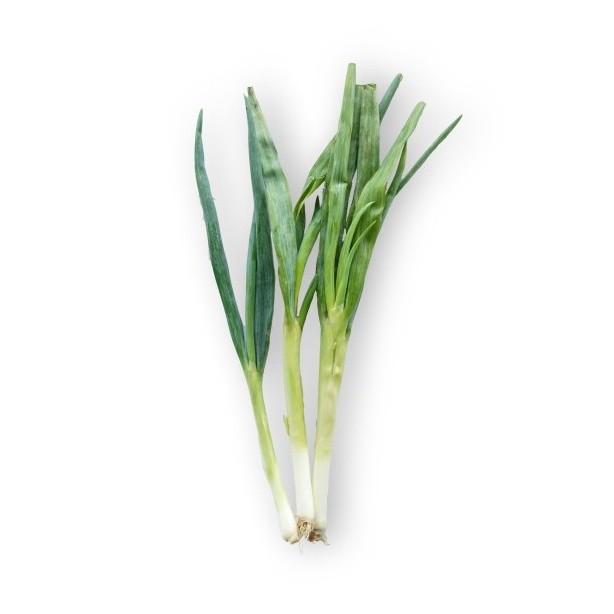 Gambar Daun Bawang Organik 200gr dari Nourish Indonesia Jakarta Utara Kota Administrasi Jakarta Utara Tokopedia