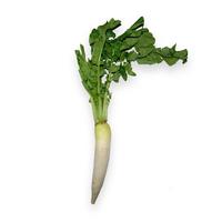 Gambar Lobak Organik 500gr dari Nourish Indonesia Jakarta Utara Kota Administrasi Jakarta Utara 2 Tokopedia