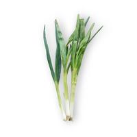 Gambar Daun Bawang Organik 200gr dari Nourish Indonesia Jakarta Utara Kota Administrasi Jakarta Utara 3 Tokopedia