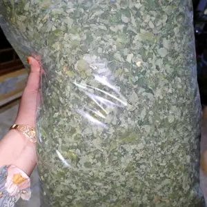 Daun Kelor 100% Kering Hijau 1kg