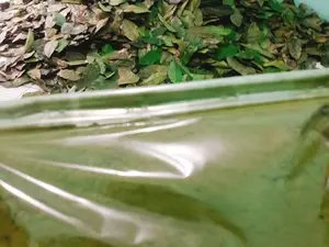 Bubuk Daun Sirsak 1kg Premium