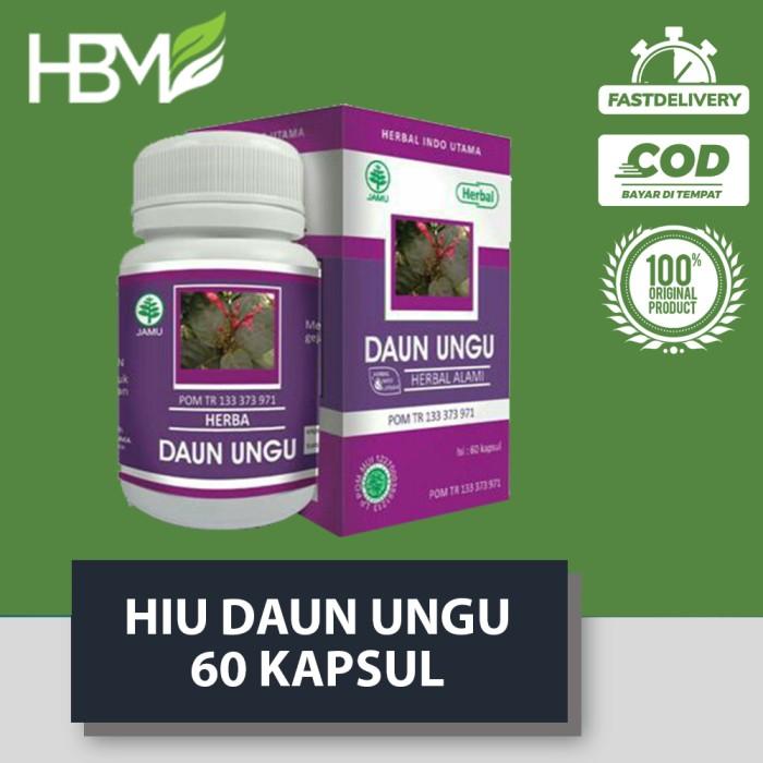 HIU DAUN UNGU 60 KAPSUL UNTUK WASIR SEMBELIT MEMPERLANCAR HAID
