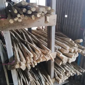 Kayu Kopi Lurus Panjang 1M Diamter 11Cm Untuk Tangkringan Burung Parot