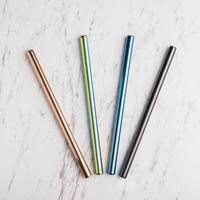 Gambar Reusable Straight Wide Straw - S - Blue - Sedotan Stainless dari Brewsuniq Store Kota Medan 4 Tokopedia