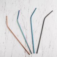 Gambar Reusable Curved Straw - L - Radiant - Sedotan Stainless dari Brewsuniq Store Kota Medan 4 Tokopedia