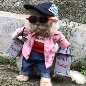 baju kucing karakter kang cuanki