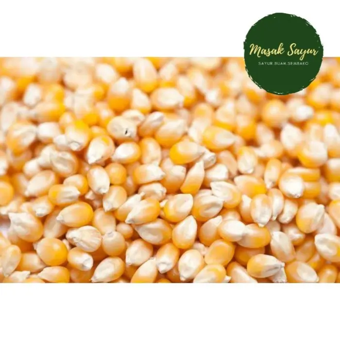 jagung popcorn 250 gram
