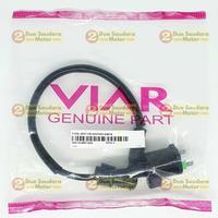 Gambar Koil Viar Karya 150 200 300 cc / Coil Assy CDI Ignition Viar Karya dari Dua Saudara Motor - Viar Kab. Indramayu 4 Tokopedia