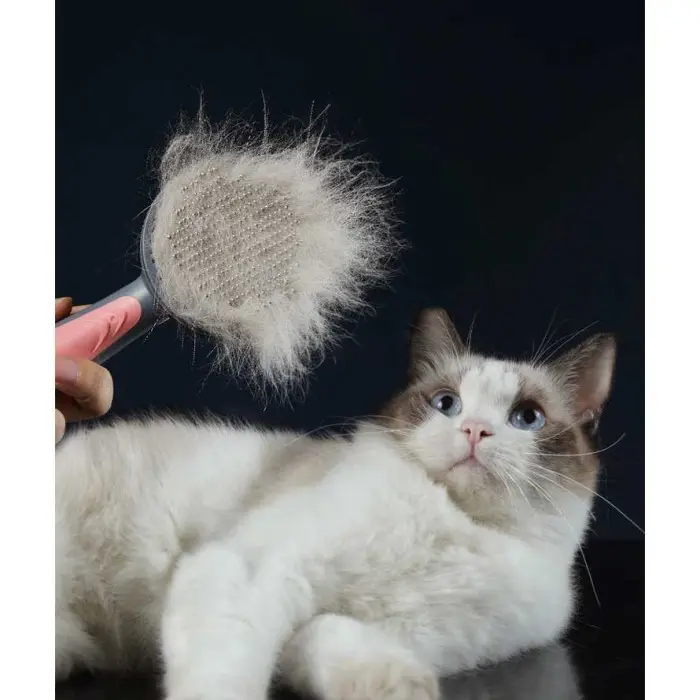 Sisir Bulu Kucing Rontok PAKEWAY - T9 - T10, Abu-abu 1