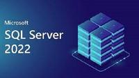 Jual Microsoft SQL Server 2022 Standard 64 Core Original Lifetime ...