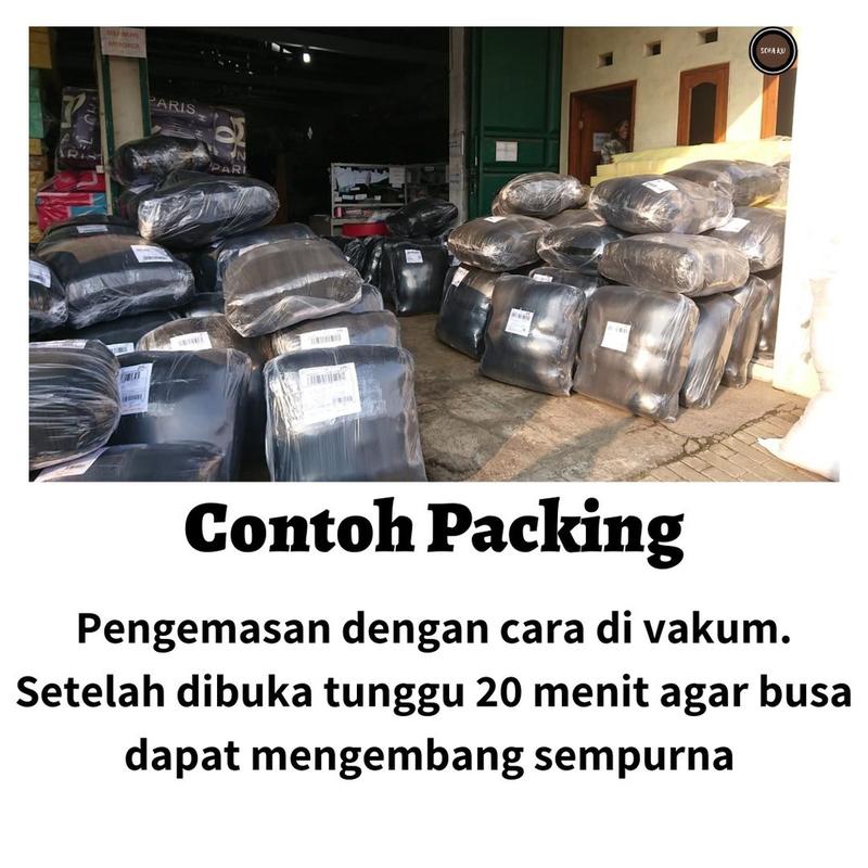 Sofa Bed Minimalis Kasur Busa Lipat Karakter Kursi Tamu 4