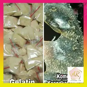 2 pcs Masker Gelatin Ampuh Angkat Komedo Sel Kulit Mati