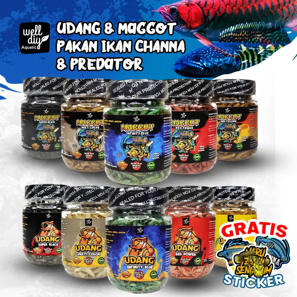 Udang Kering Pakan Ikan Channa Chana Maggot Red Yellow Blue Multi