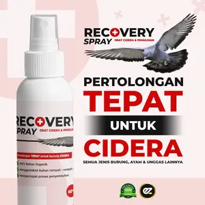RECOVERY Spray untuk Merpati CIDERA terkilir/pincang/keseleo/patah