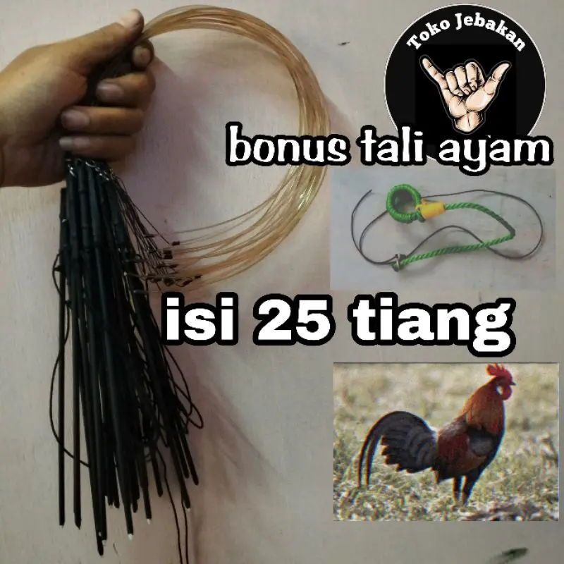 JERAT AYAM HUTAN 25 MATA TERLARIS. 4
