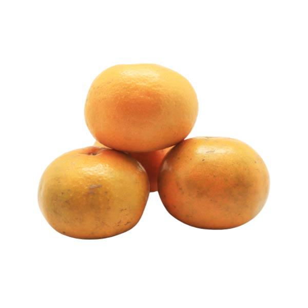 Gambar JERUK MEDAN SUPER 570-590 GR dari Foodmart Basko Padang Kota Padang Tokopedia