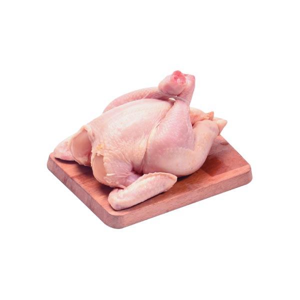 Gambar AYAM BIG BROILER 12 UP 1250 GR dari Hyfresh Rempoa Kota Tangerang Selatan Tokopedia