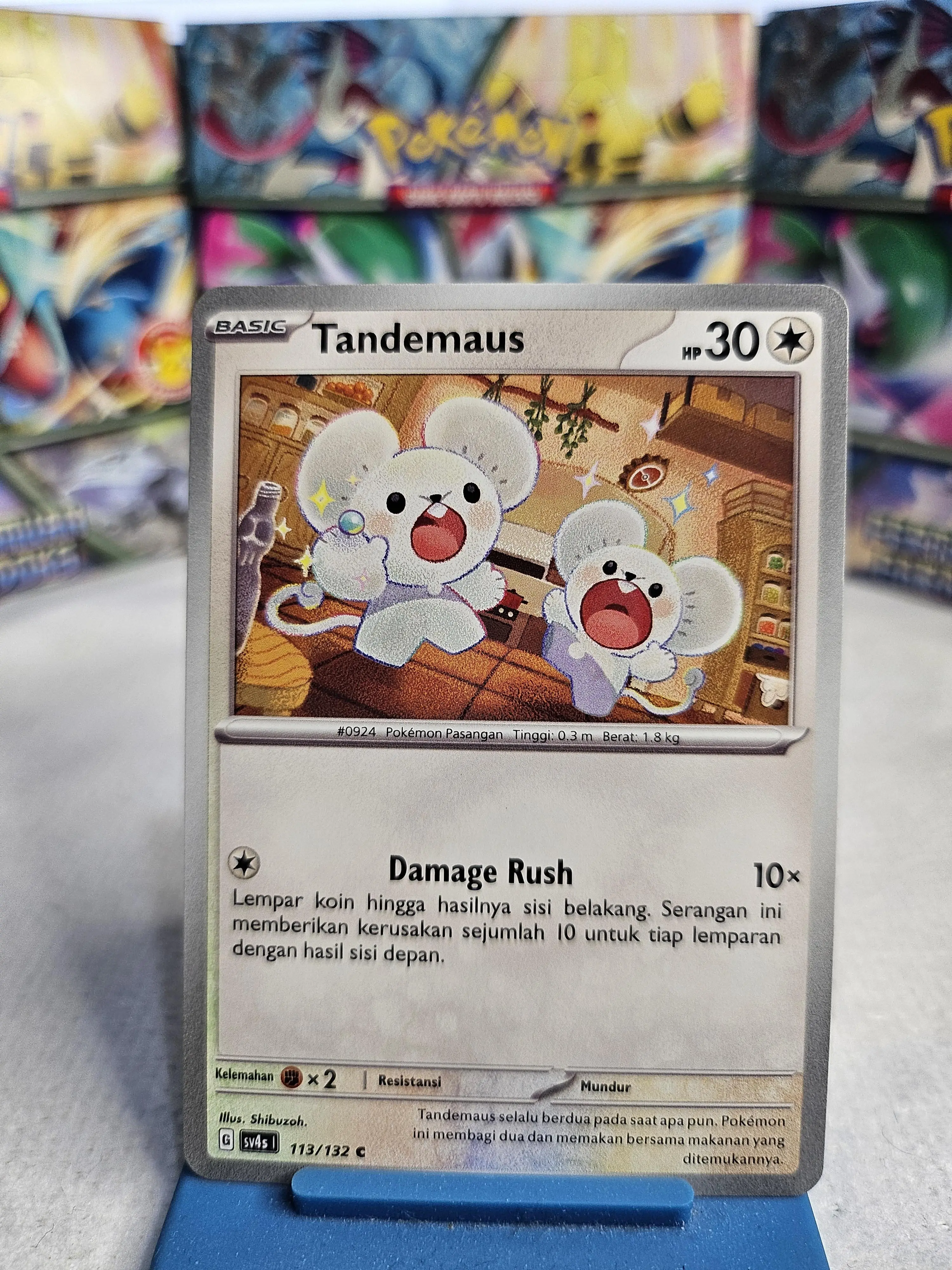 Tandemaus C 113/132 sv4s - Pokemon Pertemuan Paradoks TCG Indonesia - Shop  | Tokopedia