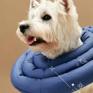 Arrr neck cone - UFO Neckar